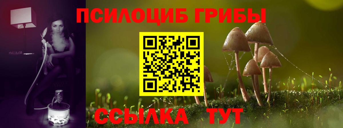 Галлюциногенные грибы Cubensis  Вход с VPN  Можайск 